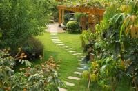 First impression Lawn and Landscape - Tampa image 1
